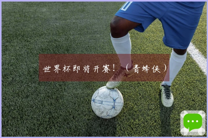 世界杯即将开赛！（青蜂侠）